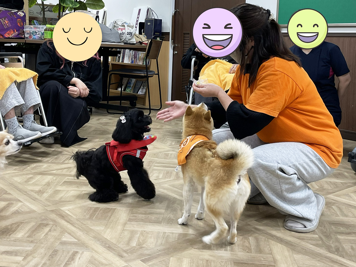 セラピードッグ