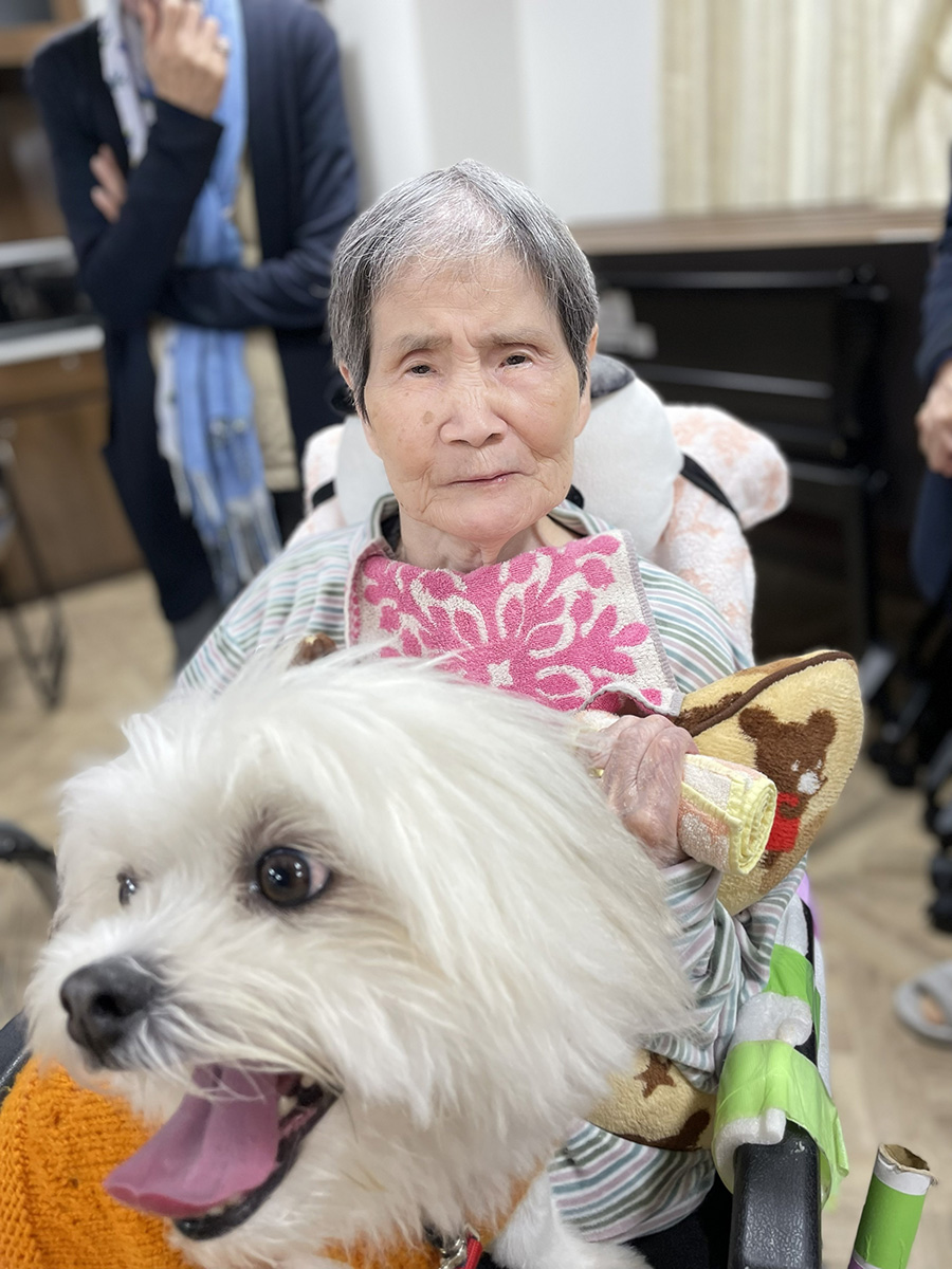 セラピードッグ