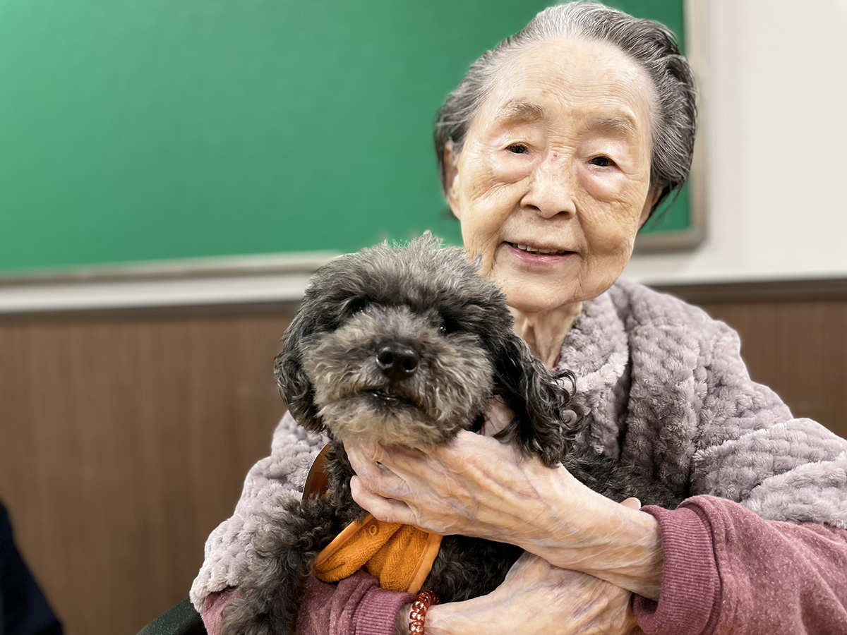 セラピードッグ