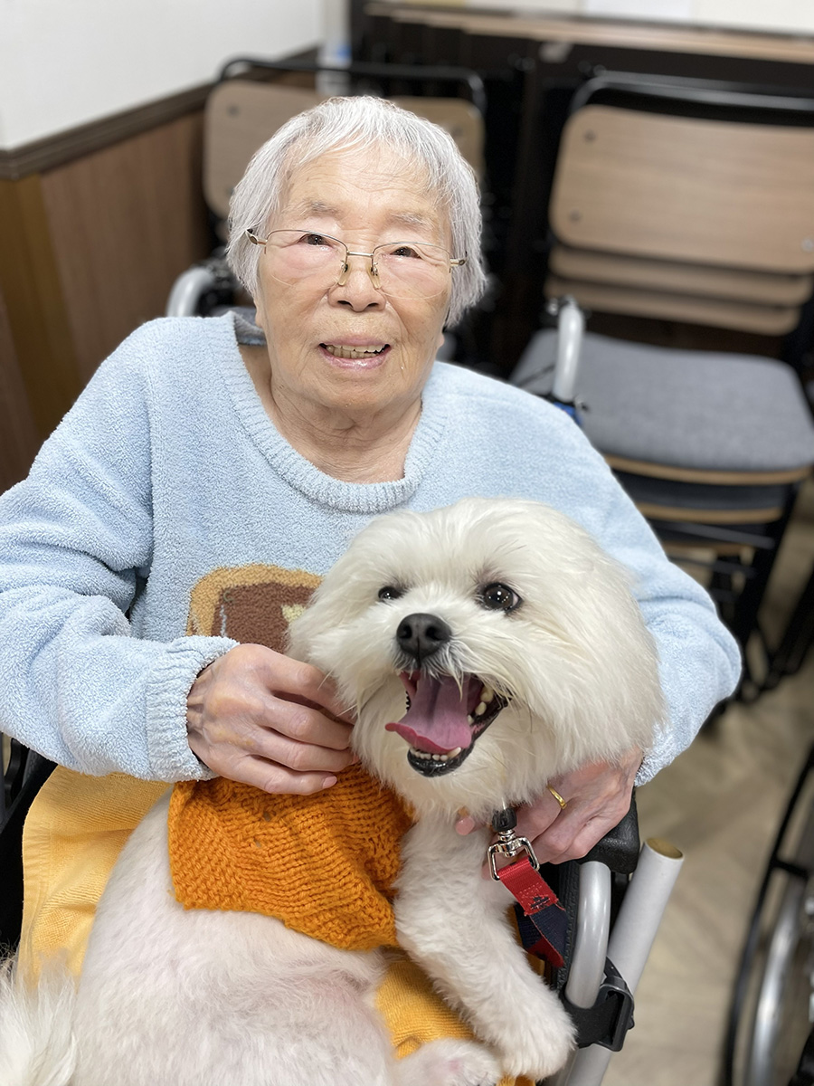 セラピードッグ