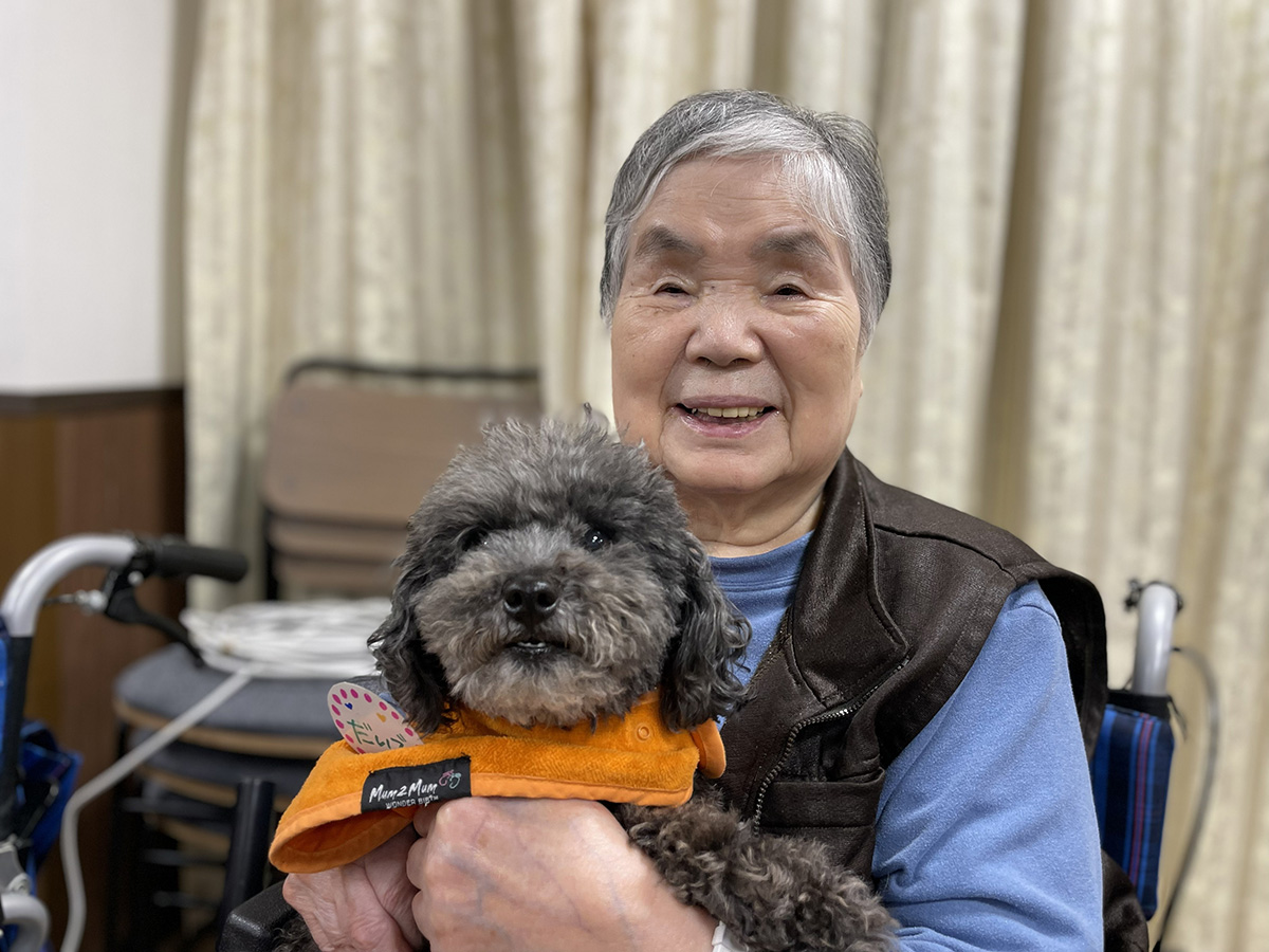 セラピードッグ