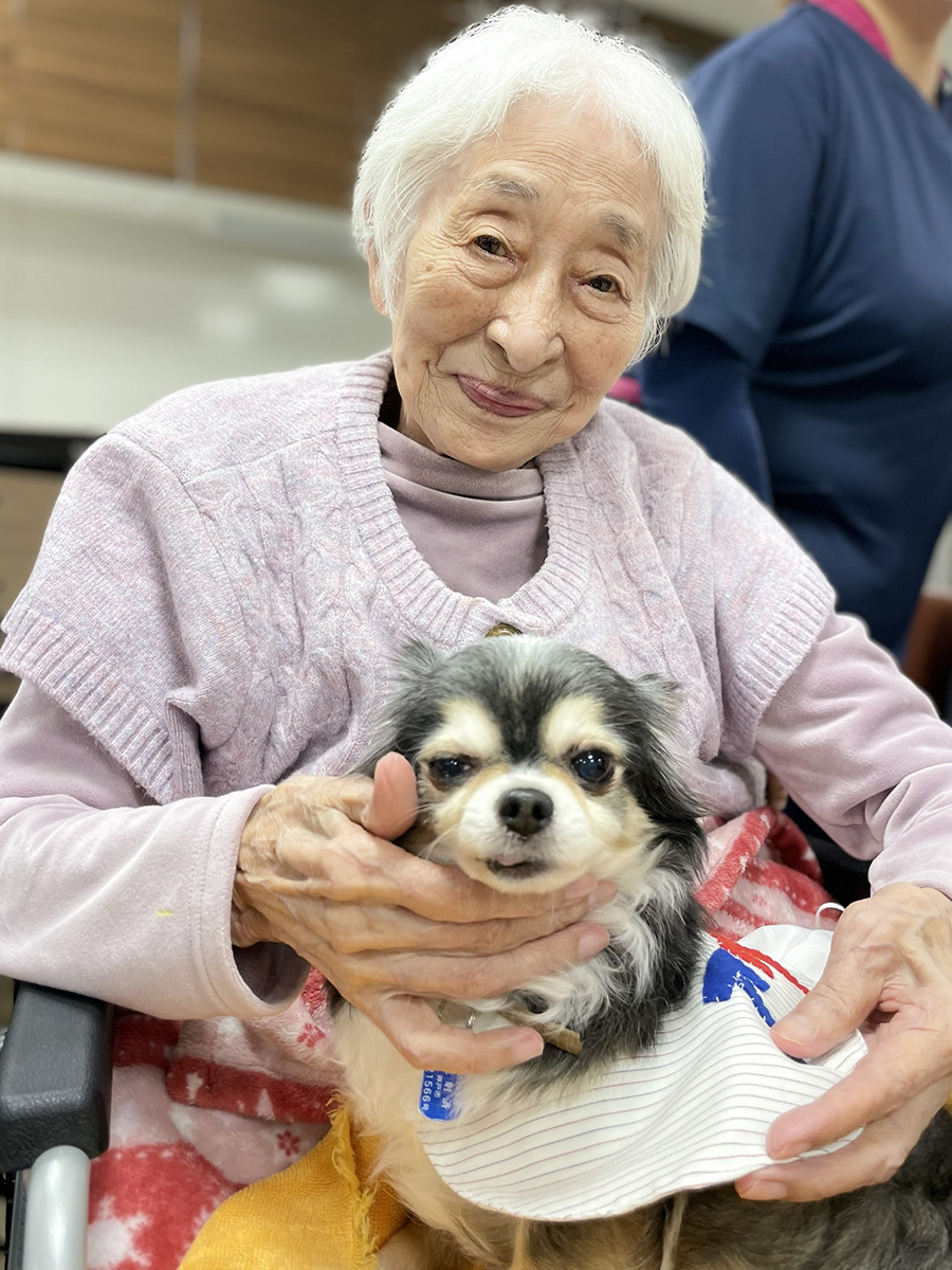 セラピードッグ