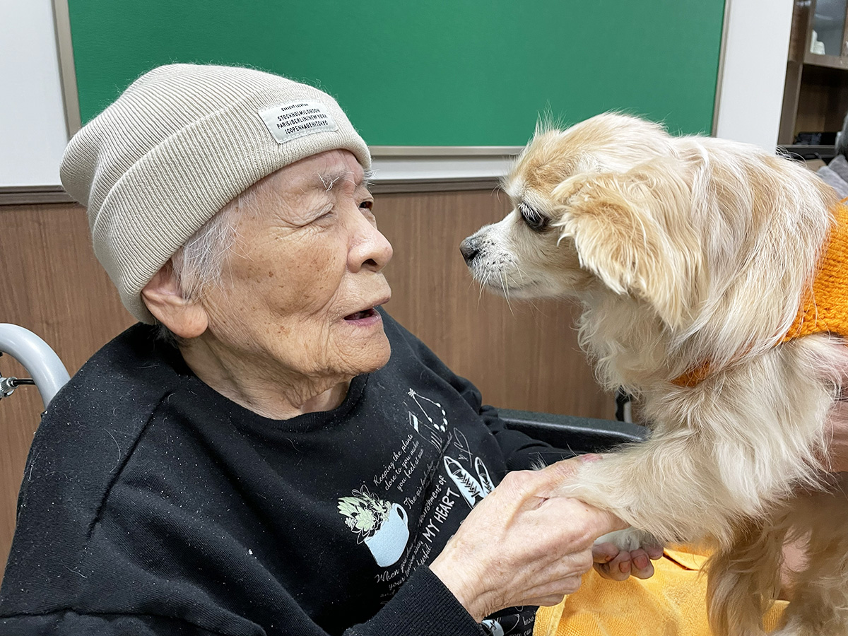 セラピードッグ