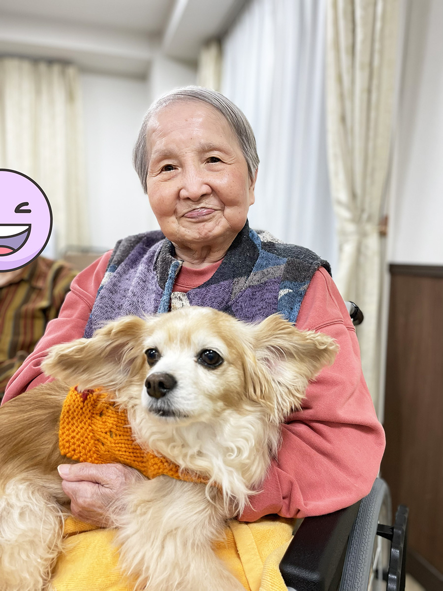 セラピードッグ