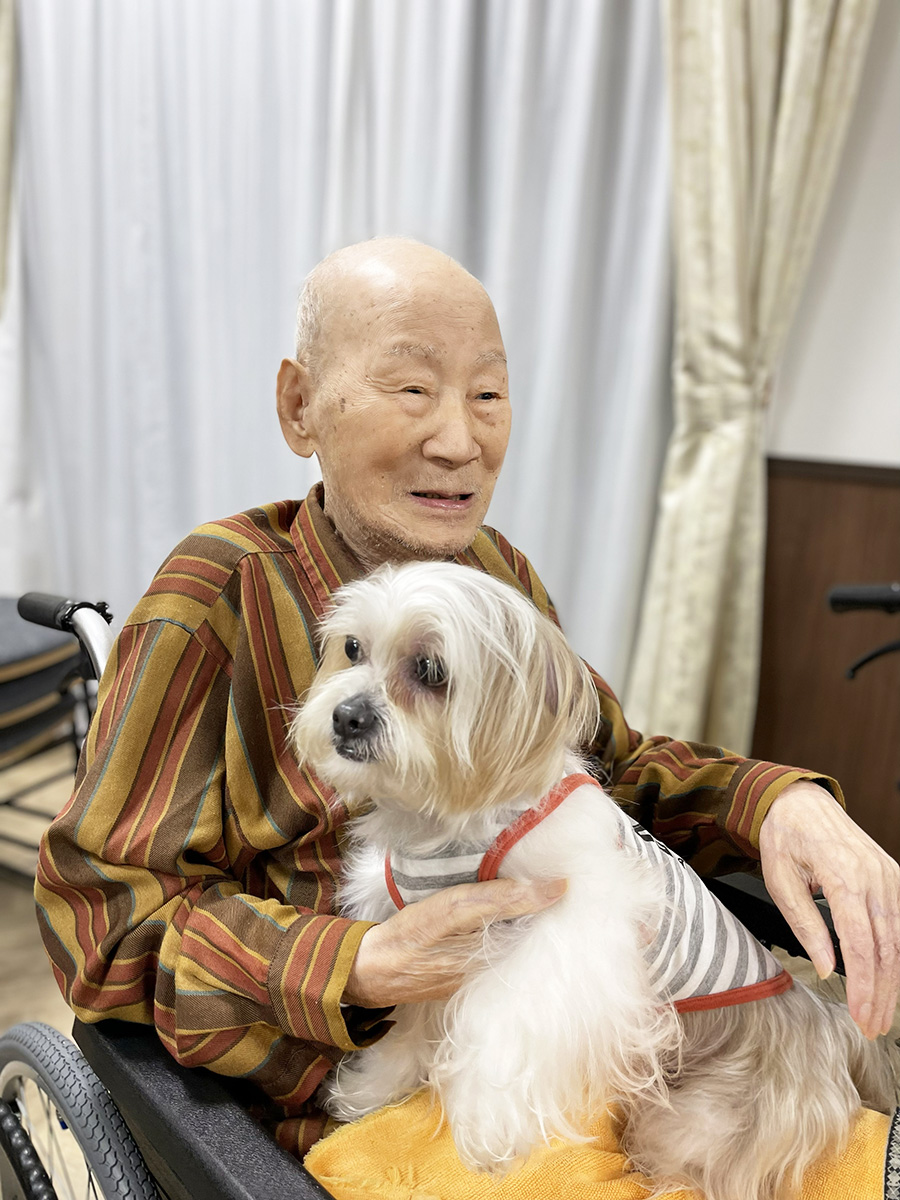 セラピードッグ