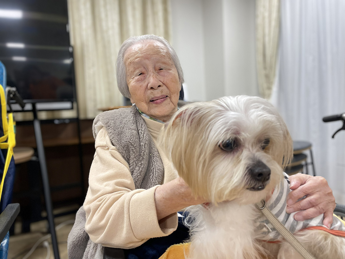 セラピードッグ