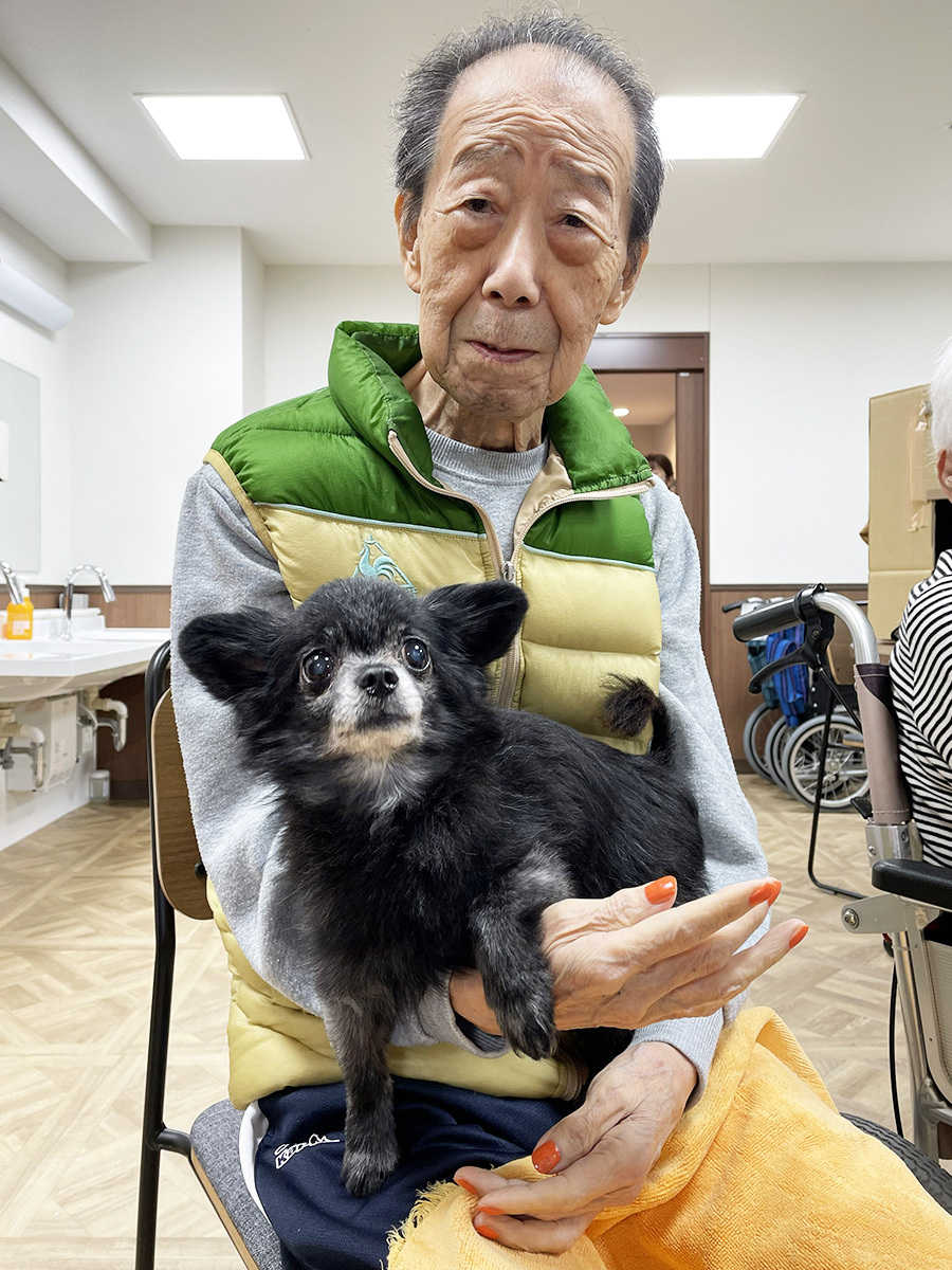 セラピードッグ