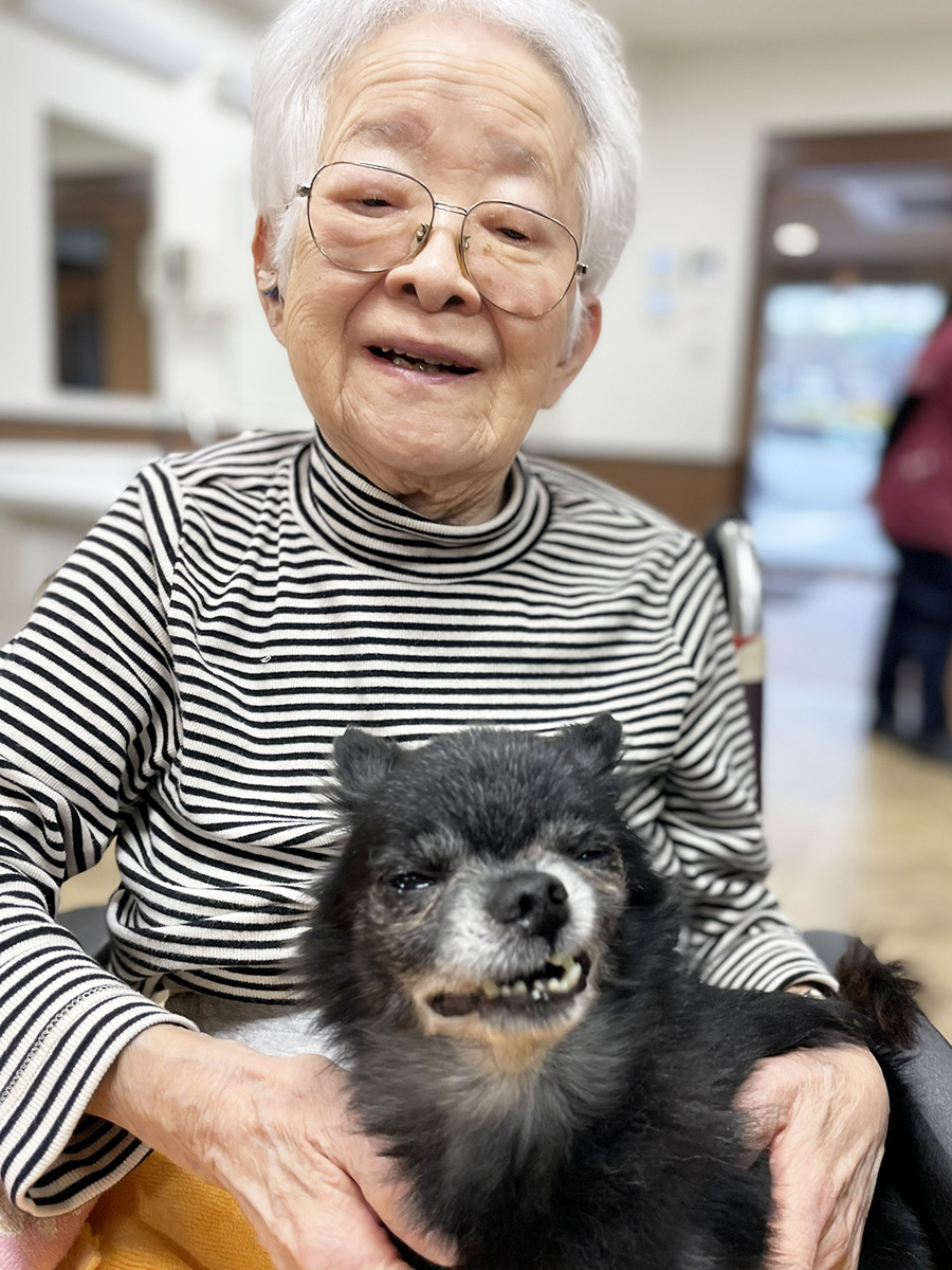 セラピードッグ